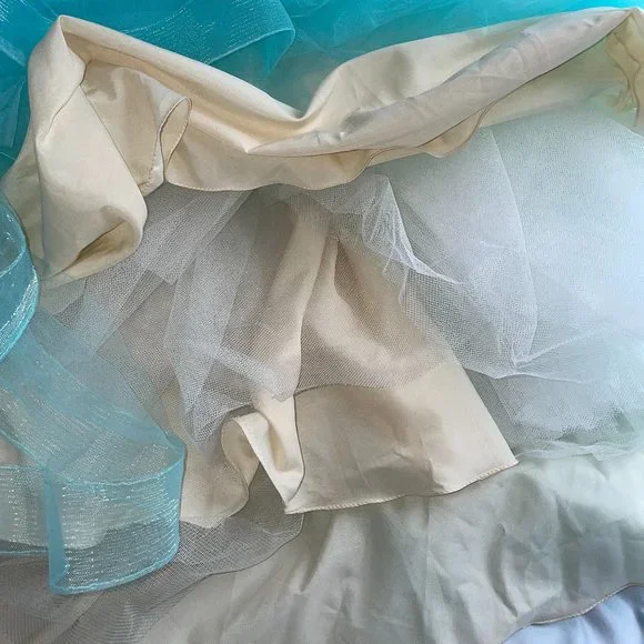 Morilee Vizcaya Quinceanera Corset Fairytale Dress Ball Gown 89174 *Note Cond - Picture 15 of 15